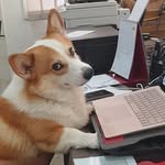 Brad Frank - @frankly_brad - Instagram