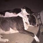 Brad Frank - @brad.frank.10 - Instagram