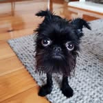 Brad Franks - @brad.franks.14 - Instagram