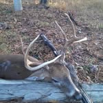 Brad Frazier - @bradfrazier_jagcalls - Instagram