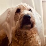 Brad Frey - @frey_brad - Instagram