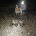 Brad Frey - Facebook