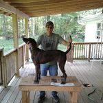 Brad Frey - @brad.frey.543 - Instagram