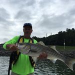 Brad Frye - @bradf66 - Instagram