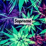 Supreme - @bradley.geddes.52 - Instagram