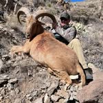 Brad Gerber - @offshore53 - Instagram