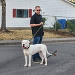Brad Gerber - @breadadikt - Instagram