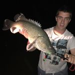 Brad Goddard - @brad.goddard - Instagram