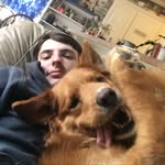 Brad Golden - @bradley.golden - Instagram