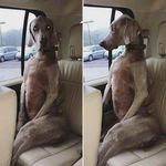Brad Grant - @bradgrant77 - Instagram