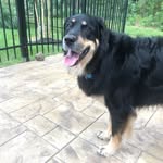 Brad Greenbaum - @greenbomb5 - Instagram