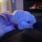 Brad Gribble - @brad.gribble74 - Instagram