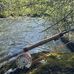 Brad Grice - Facebook