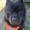 Brad Gunnels - @brad.gunnels - TikTok
