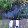 bradenhalverson - @bradenhalverson - TikTok