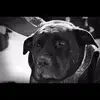 Brad Hampton910 - @bradhampton910 - TikTok