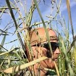 Brad Hare - @harebrad - Instagram