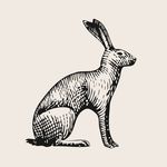 The Bradley Hare - @thebradleyhare - Instagram