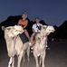Brad Harmer - Facebook