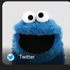 brad - @bradhazel23 - TikTok
