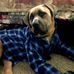 Brad Herman - Facebook