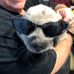 Brad Herman - Facebook