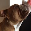 brad_hilton - @brad_hilton - TikTok