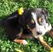 Bradley Holley - Facebook