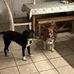 Brad Holliday - Facebook