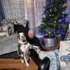 bradleyholliday - @bradleyholliday1 - TikTok