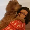 Bradleyholliday - @bradleyh95 - TikTok