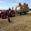 Brad Hood - @brad.hood13 - TikTok