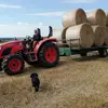 bradhood629 - @bradhood629 - TikTok