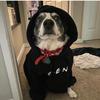 Brady Hubbard - @bradyhubbard - TikTok