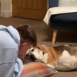 Brad - @brad_humphreys_ - Instagram