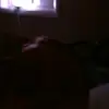 Brad Humphreys - @bradhumphreys - TikTok