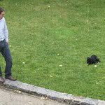 Brad Kimmel - @bradkimmel - Instagram