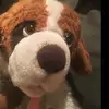 Brad Jolly - @bradjolly - TikTok