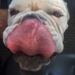 Bradley S Judd - @brad_judd - Instagram