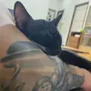 Bradley_Jung - @jung_bradley - TikTok