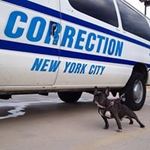 Justice Brad - @bradjustice - Instagram