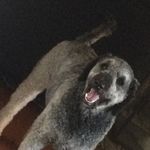 Brad Kaufman - @bradley_kaufman_ - Instagram