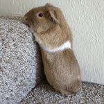 Brad Kempaner - @bradkempaner - Instagram