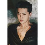 Brad D. Kendrick - @senshine_oh_sehun - Instagram