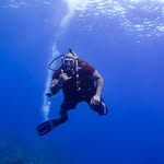Brad Knox - @bradleylknox - Instagram