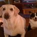 Brad Knuth - Facebook