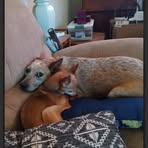 Brad Kramer - Facebook