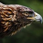 Brad Kramer - @bradley_jarred_kramer - Instagram