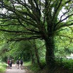 Brad Lacey - @thesecondhalf40 - Instagram