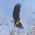 Brad Leavitt - Facebook